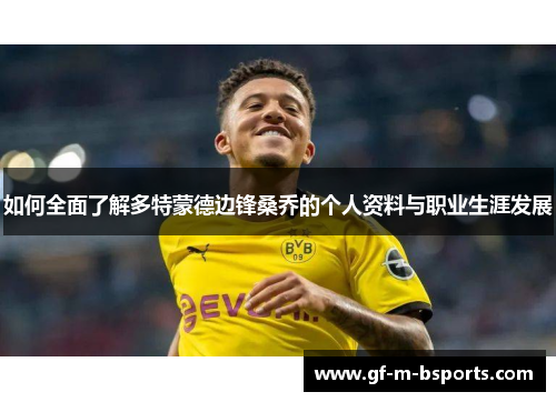 如何全面了解多特蒙德边锋桑乔的个人资料与职业生涯发展