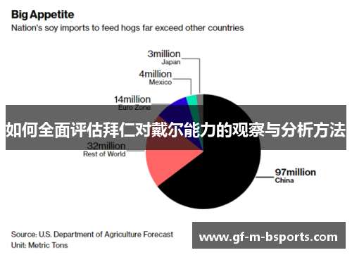 如何全面评估拜仁对戴尔能力的观察与分析方法