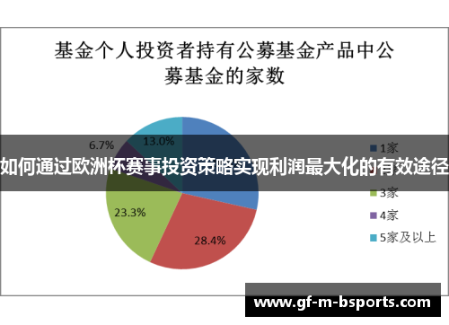 如何通过欧洲杯赛事投资策略实现利润最大化的有效途径